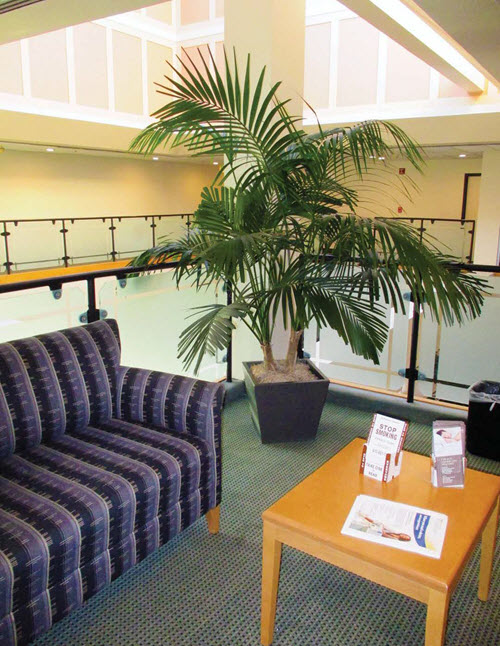 call quest diagnostics nj well call quest diagnostics nj well